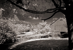 Glenn's Farm